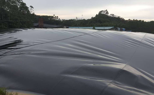 汙水池用探花在线播放