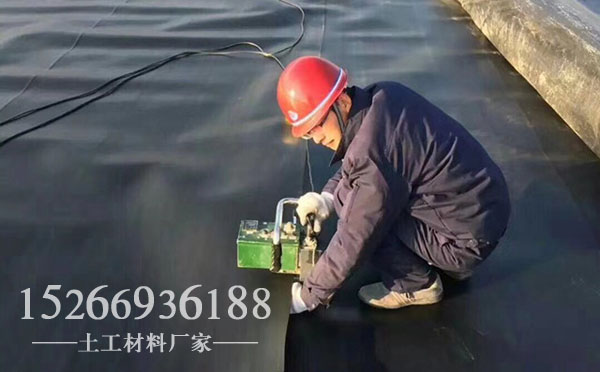 探花在线视频观看膜